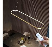 DIDADIDA Pendant Lamp Dining Table Oval LED Lamp Dimmable Hanging Lamp with Remote Control, Dining Table Lamp Hanging Chandelier, Height Adjustable