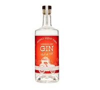 Diddly Squat Farm London Dry Gin Hint of Hot, 700ml