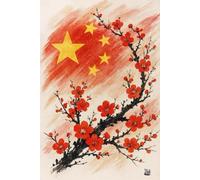 Didi Journals: The China notebook