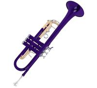 DIDILLX Standard Trumpet with Storage Case Brass Student Trumpet Professional Instruments for Beginner or Advanced Student
