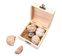 Didiseaon 1 Box Gem Dig Mining Kit with Natural Crystal Sphere Ore Specimens Educational Geology for Adults and Gemstone Excavation Collection for Science Learning and Fun Exploration