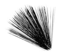 Didiseaon 1 Set Realistic Cat Whiskers for DIY Crafting Lightweight Easy to Install Faux Animal Whiskers for Dolls and Figurines for Plush Projects