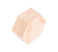 Didiseaon 10pcs DIY Wood Block Wooden Craft Plank Small Wood Block Pine Polygonal Hexagon Beige Easy to Draw Easy to Write for Art Projects