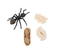 Didiseaon 1Set Imitation Ant Growth Cycle Model Educational Ant Figurines for Realistic Bug to Enhance Cognitive Development and Understanding of Life Cycles