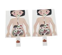 Didiseaon 2 Sets DIY Human Digestive System Model Educational Craft Materials for Anatomy Science Experiment Kit Enhancing Motor Skills and Biology Learning
