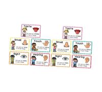 Didiseaon 2 Sets Flash Cards High Contrast Early Learning Posters for Cognitive Development Sensory Stimulation Educational Teaching Supplies for Kindergartens Contrast Cards