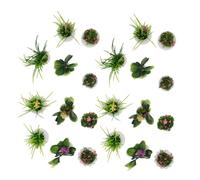 Didiseaon 22pcs Miniature Dollhouse Plants Lifelike Mini Bonsai Micro Landscape Potted Ornaments for Dollhouse DIY Projects Year-round Decorative Faux Greenery for Fairy Gardens and Home