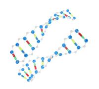 Didiseaon 2pcs Dna Model Kit Double Helix Structure Educational Biology Teaching Tool for School Science Classes Human Genes Components Laboratory Research Aid