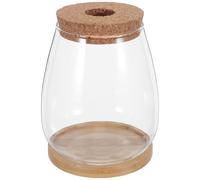 Didiseaon 2pcs Large Glass Propagation Vases for Hydroponic Plants with Perforated Wooden Stoppers and Bamboo Mats - Water Culture Containers for Indoor Plant Growing and Desktop Gardening