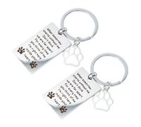 Didiseaon 2pcs Pet Memorial Keychain Stainless Steel Dog Remembrance Pendant for Keys and Bags Meaningful Pet Owners to Honor Beloved Dogs