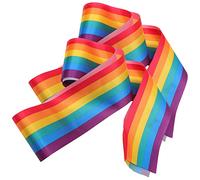 Didiseaon 2pcs Rainbow Sash LGBT Pride Accessories Adjustable Shoulder Belt for Pride Parade Party Supplies Suitable for Adults Vibrant Rainbow Colors