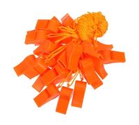 Didiseaon 30pcs Lightweight Plastic Survival Whistles with Lanyard Loud Crisp Sound Emergency Safety Whistle for Outdoor Refereeing Camping Hiking and Soccer Football Use