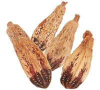 Didiseaon 4pcs Natural Bird Chew for Parakeets and Cockatiels Fruit Material Biting Small Pet Parrot Chewing for Budgies and Cage Play