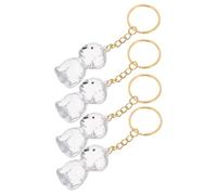 Didiseaon 4pcs Transparent Dog Hair Memorial Keychain Lightweight Sealed Capsule Pendant for Pet Owners Protective Keepsake Ornament for Remembering Furry Companions