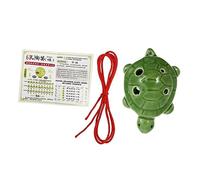 Didiseaon 6-hole Alto Ocarina Flute Turtle Shape White Porcelain with Lanyard, Green Beginners Ocarina Instrument Producing Accurate Tone and Beautiful Natural Sounds Random Color