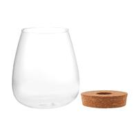 Didiseaon Bryophyte Ecological Bottle Glass Terrarium with Surface Suitable for Bedroom Café Decoration