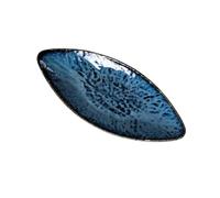 Didiseaon Ceramic Sashimi Plate for Japanese Restaurants and Home Use, Classic Blue Salmon-Shaped Decorative Food Tray with Attractive Multi-use Design for Sushi and Cold Dishes