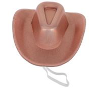 Didiseaon Cowboy Hat for Cat and Puppy Cosplay Hat Sparkly Decoration for Halloween Party and Photoshoot Events