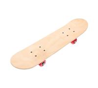Didiseaon DIY Double Sided Skateboard with Wheels for Unfinished Skateboard Craft Board for Teens Creative Graffiti for Artistic Beginners and Gift