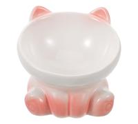 Didiseaon Elevated Cat Bowls with Slip Base Porcelain Feeding Station for Kittens and Small Breeds Healthy Eating Posture Easy to Clean and Pet Friendly Design
