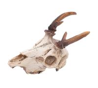 Didiseaon Elk Skull Ornaments Reptile Terrarium Decor Real Animal Skull Chameleon Cage Accessories Snake Decor for Terrarium
