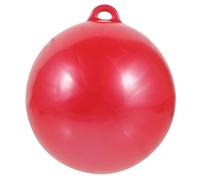 Didiseaon Hanging Boxing Water Bag Lightweight Punching Ball with Thick PVC Material Indoor Outdoor Training Sandbag for Stress Relief and Body Strengthening