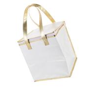 Didiseaon Insulated Thermal Food Bag with Handles Thick Heat and Cold Preservation Cooler for Cake Pizza Grocery Shopping Office Camping Height White Carrying Pouch