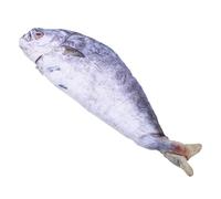 Didiseaon Novelty Simulated Fish Pen Bag Fish Shaped Pencil Case Zipper Coin Purse Cute Animal Stationery Holder for Office Use Creative Fun