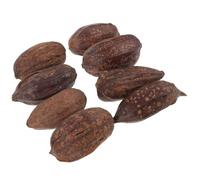 Didiseaon Parrot Chew Toys for Cage 8pcs Natural Dried Fruit Foraging Toy Set for Parakeet Cockatiel Small Birds