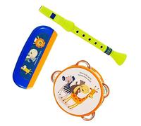 Didiseaon Piccolo Flute Piccolo 1 Set beginner for kids beginner harmonica for children kids musical instruments kids three piece suit combination tambourine Toy plastic clarinet