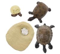 Didiseaon Realistic Tortoise Growth Cycle Model Educational Animal Figurines Teaching Aids for Learning Life Stages and Cognitive Development