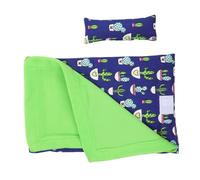 Didiseaon Reptile Sleeping Bag Pillow and Blanket, Small Cotton Habitat Bed for Anole Gecko and Lizard, Blue and Green Soft Pet Lounger Suitable for Indoor Terrariums