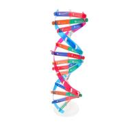 Didiseaon Self Assembling Double Helix Dna Model Kit Educational Science for Biology Learning and Molecular Structure Assembly