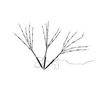 Didiseaon Solar-Powered Branch Shape Garden Lamp with LED Leaf Lights Ground Inserted Lawn Light for Outdoor Decoration and Easy Install Energy-Saving Landscape Lighting Ornament