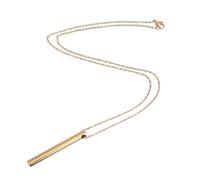 Didiseaon Titanium Steel Pet Ash Keepsake Pendant Necklace with Perfume Storage Elegant Memorial Urn Jewelry for Family and Pets Gold Cremation Urn Necklace with Chain Comfortable and