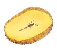 Didiseaon Unique Amber Specimen Pendant with Preserved Scorpion Insect Inclusion, Creative Ambroid Ornament Decoration Featuring Vivid and Elegant Design for Friends