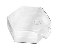 Didiseaon Wall Glass Vase Hanging Planter for Hydroponic Plants, Hexagonal 17cm Hydroponic Glass Vase for Indoor Wall-mounted Home and Office Decor