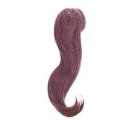 Didiseaon Wig Headgear Long Bang Wig Bang Hairpiece Womens s Natural Hair s with s Human Hair Women Fake Hair Straight Women Supplies Ladies s High Temperature Wire