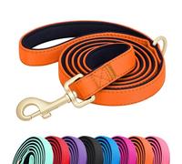 Didog 5FT Colorful Nylon Dog Leash with Soft Full-Length Padding, Lightweight and Durable Pet Leash for Small Dogs, Orange, S