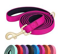 Didog 5FT Colorful Nylon Dog Leash with Soft Full-Length Padding, Lightweight and Durable Pet Leash for Small Dogs, Rose Purple, S