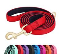 Didog 5FT Colorful Nylon Dog Leash with Soft Full-Length Padding, Lightweight and Durable Pet Leash for Small Dogs, Red, S