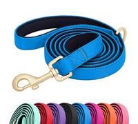 Didog 5FT Colorful Nylon Dog Leash with Soft Full-Length Padding, Lightweight and Durable Pet Leash for Small Dogs, Blue, S
