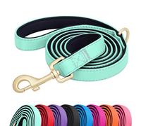 Didog 5FT Colorful Nylon Dog Leash with Soft Full-Length Padding, Lightweight and Durable Pet Leash for Small Dogs, Green, S