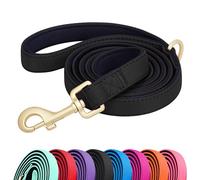 Didog 5FT Colorful Nylon Dog Leash with Soft Full-Length Padding, Lightweight and Durable Pet Leash for Medium and Large Dogs, Black, M