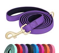Didog 5FT Colorful Nylon Dog Leash with Soft Full-Length Padding, Lightweight and Durable Pet Leash for Medium and Large Dogs, Purple, M