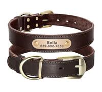 Didog Genuine Leather Dog Collars with Engraved Nameplate, Personalized Soft Leather Dog Collar with Custom ID Tag, Brown/Green/Red for Small Dogs