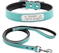 Didog Soft Leather Padded Custom Dog Collar and Leash Set with Personalized Engraved Nameplate,Fit Small Medium Dogs,Blue,M Size