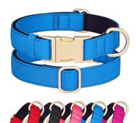 Didog Waterproof Nylon Dog Collar Soft Padded, Durable Dog Collars with Quick Released Metal Buckle, Lightweight and Breathable Dog Collar for Large Medium Small Dogs, Blue, M