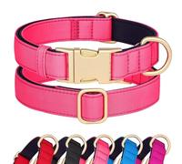Didog Waterproof Nylon Dog Collar Soft Padded, Durable Dog Collars with Quick Released Metal Buckle, Lightweight and Breathable Dog Collar for Large Medium Small Dogs, Pink, S