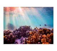 Didooou Self-adhesive underwater aquarium decoration background natural landscape coral fish tank background aquarium background sticker (60 * 100cm / 23.6 * 39.4in, Dream Coral)